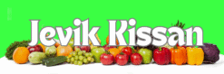 Jevik Kissan Shop 